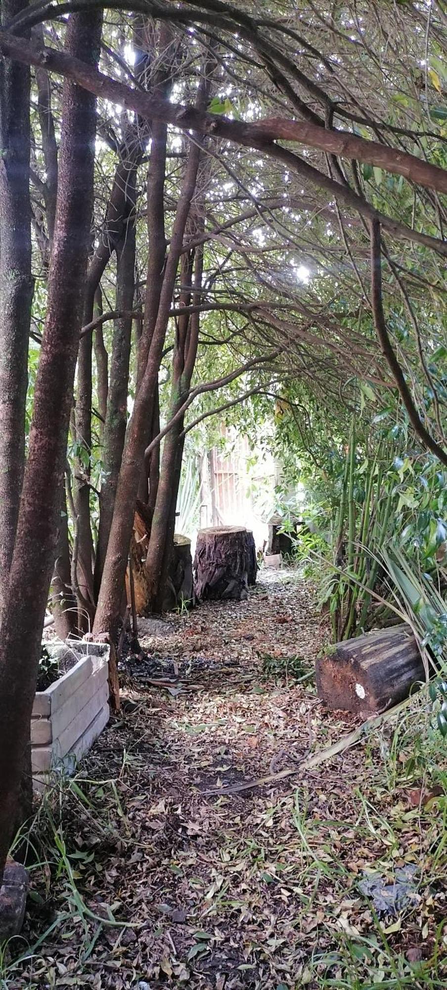Cabaña en la Calera BersaNina Luaran gambar